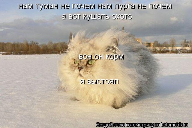 нам туман не почем нам пурга не почем а вот кушать охото вон он корм я выстоял... Котоматрица: нам туман не почем нам пурга не почем а вот кушать охото вон он корм я выстоял