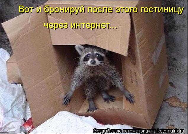 через интернет... Вот и бронируй после этого гостиницу... Котоматрица: через интернет... Вот и бронируй после этого гостиницу