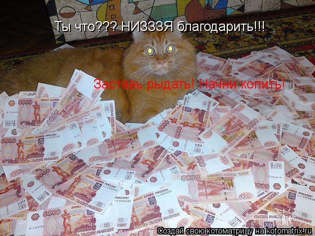 Ты что??? НИЗЗЗЯ благодарить!!! Заставь рыдать! Начни копить!... Котоматрица: Ты что??? НИЗЗЗЯ благодарить!!! Заставь рыдать! Начни копить!