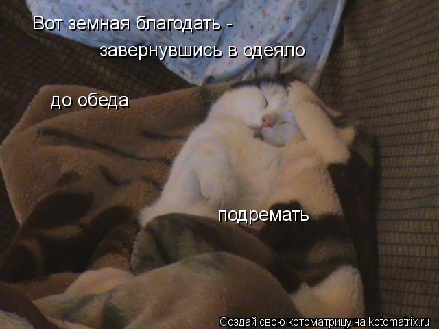 Вот земная благодать - завернувшись в одеяло до обеда подремать... Котоматрица: Вот земная благодать - завернувшись в одеяло до обеда подремать