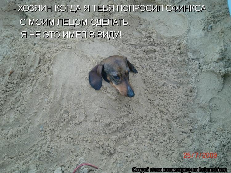 Котоматрица: - ХОЗЯИН КОГДА Я ТЕБЯ ПОПРОСИЛ СФИНКСА  С МОИМ ЛЕЦОМ СДЕЛАТЬ. Я НЕ ЭТО ИМЕЛ В ВИДУ!
