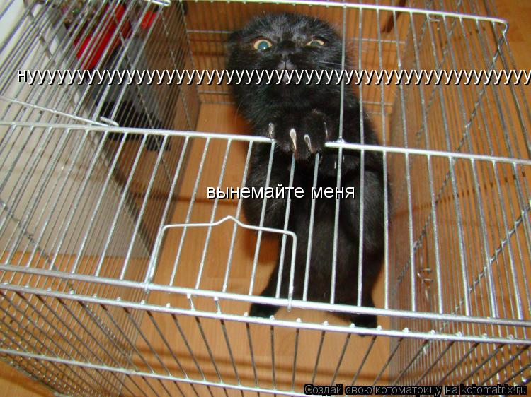 Котоматрица: нууууууууууууууууууууууууууууууууууууууууууууууууууууууу            вынемайте меня