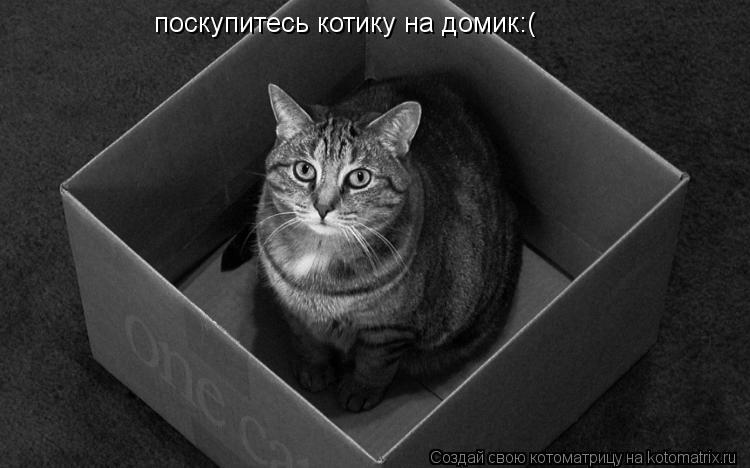 Котоматрица: поскупитесь котику на домик:(