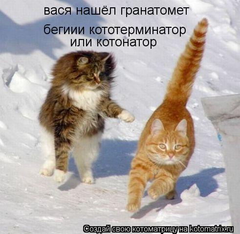 Котоматрица: вася нашёл гранатомет бегиии кототерминатор или котонатор