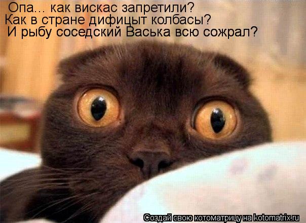 Котоматрица: Опа... как вискас запретили?  Опа... как вискас запретили?  Как в стране дифицыт колбасы? И рыбу соседский Васька всю сожрал? И рыбу соседский В