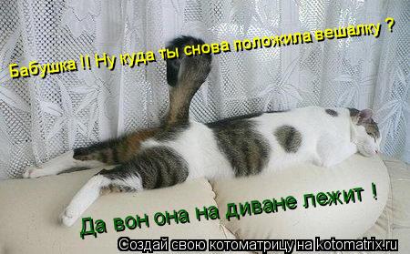 Котоматрица: Бабушка !! Ну куда ты снова положила вешалку ? Да вон она на диване лежит !