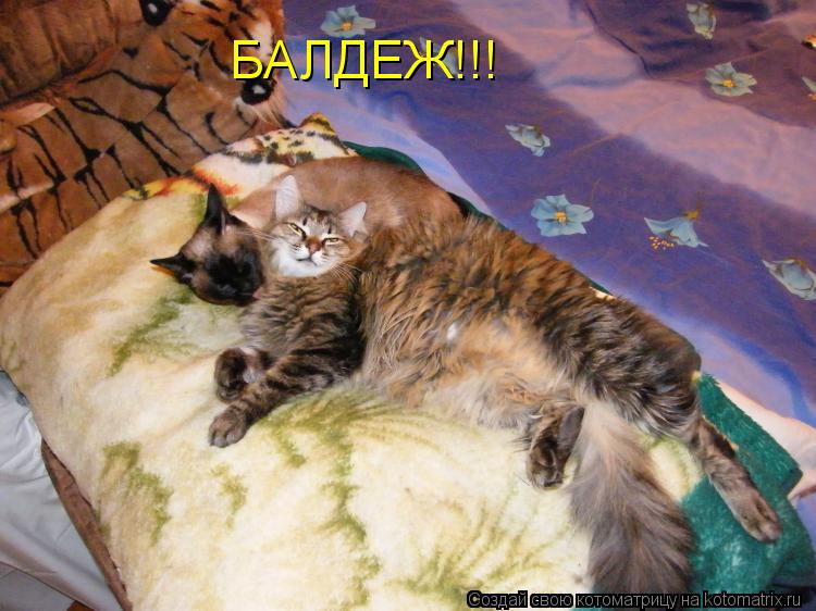 Котоматрица: БАЛДЕЖ!!!