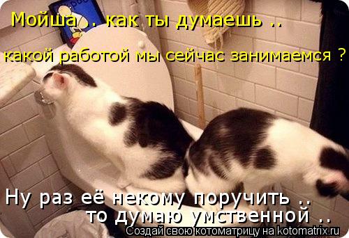 Котоматрица: Мойша .. как ты думаешь .. какой работой мы сейчас занимаемся ? Ну раз её некому поручить .. то думаю умственной ..