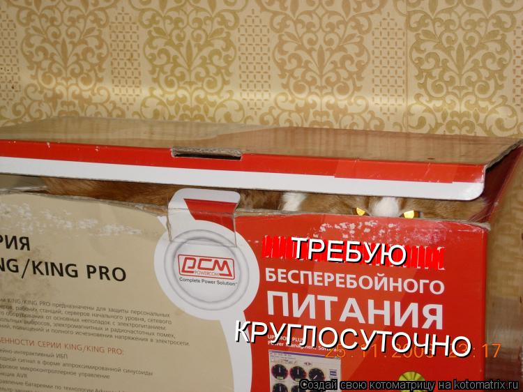 Котоматрица: IIIIIIIIIIIIIIIIIIIIIIIIII IIIIIIIIIIIIIIIIIIIIIIIIII IIIIIIIIIIIIIIIIIIIIIIIIII ТРЕБУЮ КРУГЛОСУТОЧНО