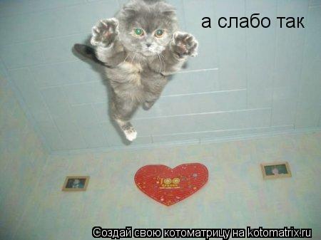 Котоматрица: а слабо так