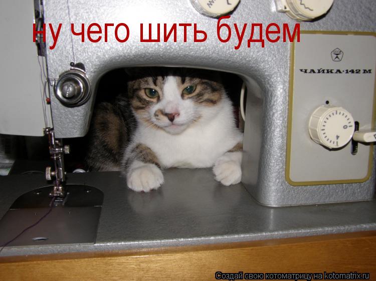 Котоматрица: ну чего шить будем