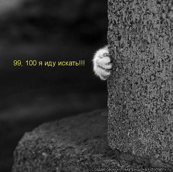 99, 100 я иду искать!!!... Котоматрица: 99, 100 я иду искать!!!