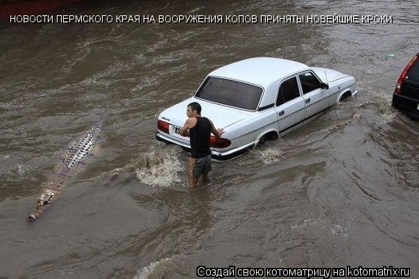 НОВОСТИ ПЕРМСКОГО КРАЯ НА ВООРУЖЕНИЯ КОПОВ ПРИНЯТЫ НОВЕЙШИЕ КРОКИ... Котоматрица: НОВОСТИ ПЕРМСКОГО КРАЯ НА ВООРУЖЕНИЯ КОПОВ ПРИНЯТЫ НОВЕЙШИЕ КРОКИ