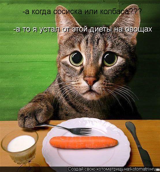 -а то я устал от этой диеты на овощах -а когда сосиска или колбаса???... Котоматрица: -а то я устал от этой диеты на овощах -а когда сосиска или колбаса???