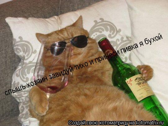 слышь хозяин завидуй тихо и принеси пивка я бухой... Котоматрица: слышь хозяин завидуй тихо и принеси пивка я бухой