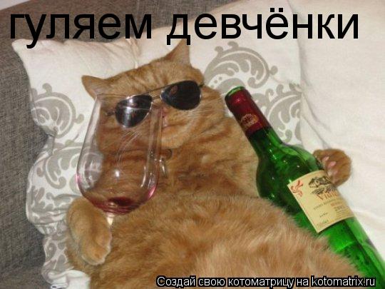 гуляем девчёнки... Котоматрица: гуляем девчёнки