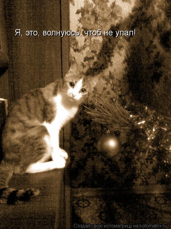 Я, это, волнуюсь, чтоб не упал!... Котоматрица: Я, это, волнуюсь, чтоб не упал!