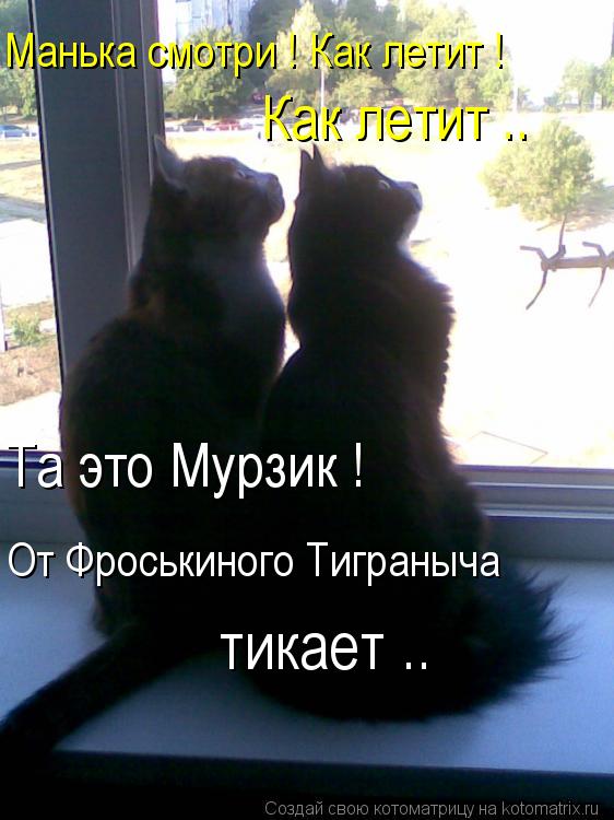 Манька смотри ! Как летит ! Как летит .. Та это Мурзик ! От Фроськиного Тиграныча тикает ..... Котоматрица: Манька смотри ! Как летит ! Как летит .. Та это Мурзик ! От Фроськиного Тиграныча тикает ..