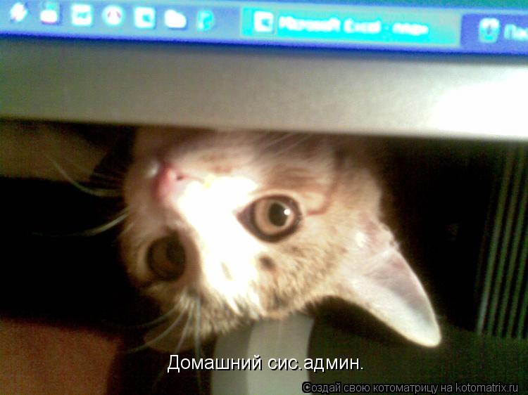 Домашний сис.админ.... Котоматрица: Домашний сис.админ.