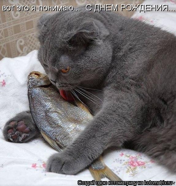 вот это я понимаю... С ДНЕМ РОЖДЕНИЯ...... Котоматрица: вот это я понимаю... С ДНЕМ РОЖДЕНИЯ...