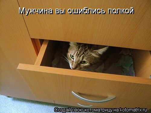 Мужчина вы ошиблись полкой Мужчина вы ошиблись полкой... Котоматрица: Мужчина вы ошиблись полкой Мужчина вы ошиблись полкой