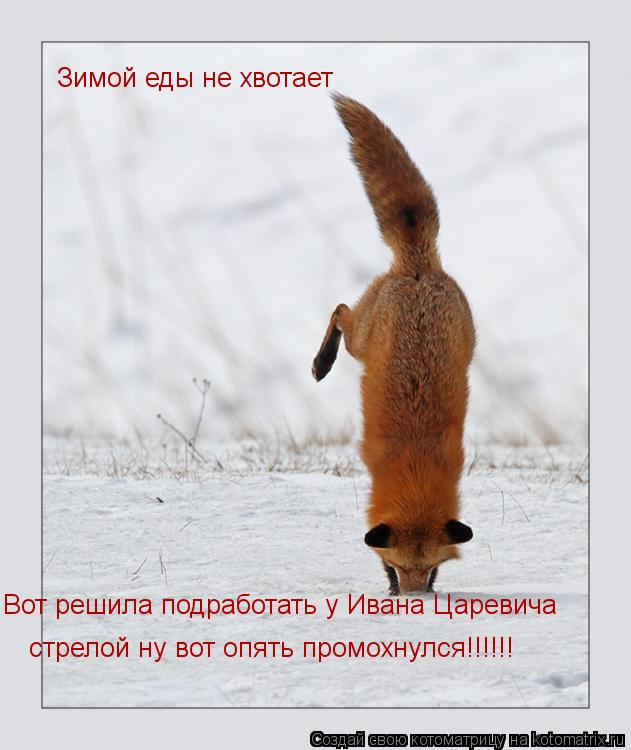 Зимой еды не хвотает Вот решила подработать у Ивана Царевича стрелой ну вот опять промохнулся!!!!!!... Котоматрица: Зимой еды не хвотает Вот решила подработать у Ивана Царевича стрелой ну вот опять промохнулся!!!!!!