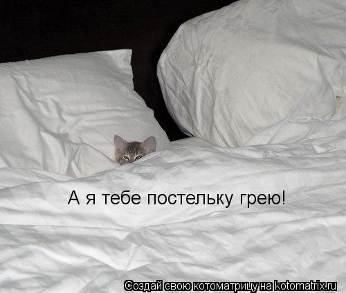 А я тебе постельку грею!... Котоматрица: А я тебе постельку грею!
