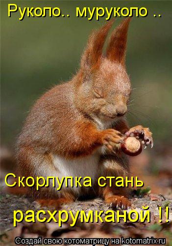 Котоматрица: Руколо.. муруколо .. Скорлупка стань  расхрумканой !!