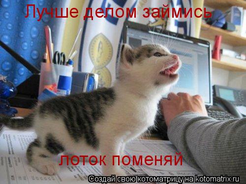 Котоматрица: Лучше делом займись лоток поменяй