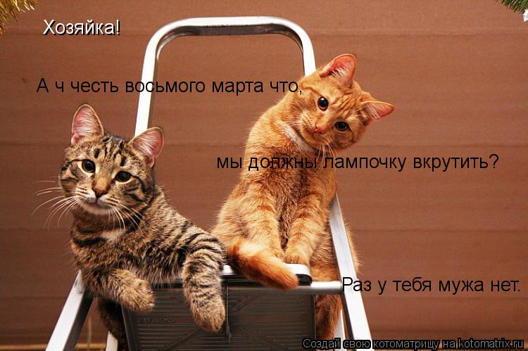 Котоматрица: Хозяйка! А ч честь восьмого марта что, мы должны лампочку вкрутить? Раз у тебя мужа нет.