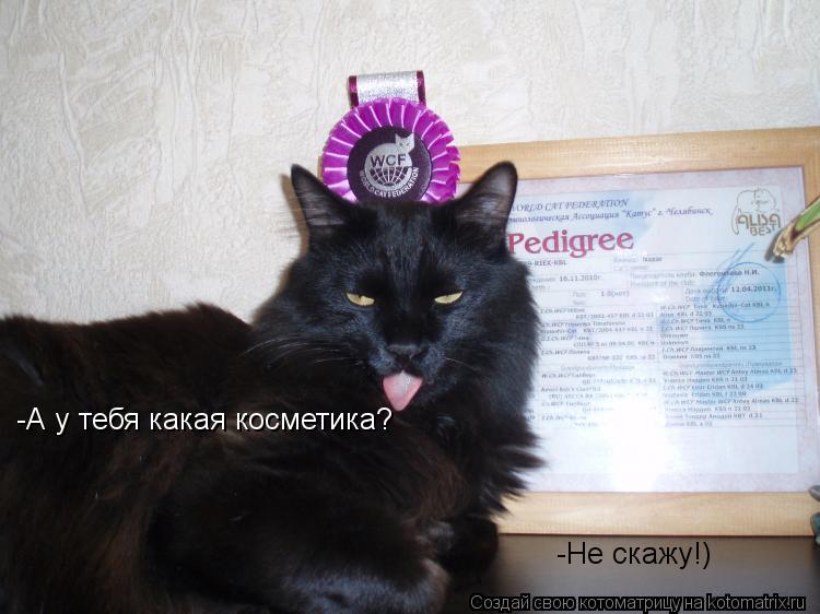 Котоматрица: -А у тебя какая косметика? -Не скажу!)