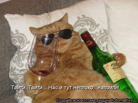 Котоматрица: Таити, Таити... Нас и тут неплохо...напоили!