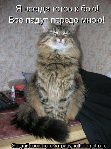 Котоматрица: Я всегда готов к бою! Все падут передо мною!