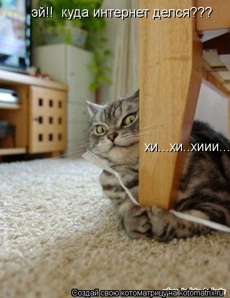 эй!! куда интернет делся??? хи...хи..хиии...... Котоматрица: эй!! куда интернет делся??? хи...хи..хиии...