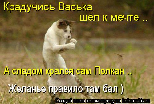 Крадучись Васька шёл к мечте .. А следом крался сам Полкан .. Желанье правило там бал )... Котоматрица: Крадучись Васька шёл к мечте .. А следом крался сам Полкан .. Желанье правило там бал )