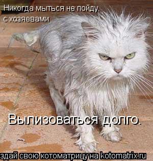 Никогда мыться не пойду. с хозяевами Вылизоваться долго.... Котоматрица: Никогда мыться не пойду. с хозяевами Вылизоваться долго.