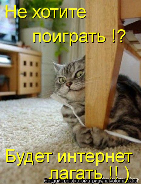 Не хотите поиграть !? Будет интернет лагать !! )... Котоматрица: Не хотите поиграть !? Будет интернет лагать !! )