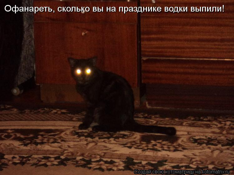Офанареть, сколько вы на празднике водки выпили!... Котоматрица: Офанареть, сколько вы на празднике водки выпили!