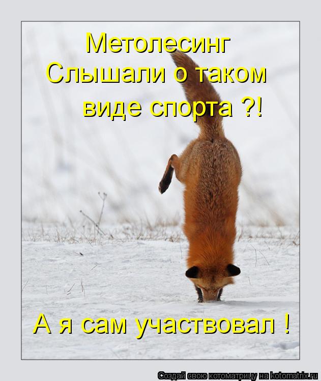 Метолесинг Слышали о таком виде спорта ?! А я сам участвовал !... Котоматрица: Метолесинг Слышали о таком виде спорта ?! А я сам участвовал !