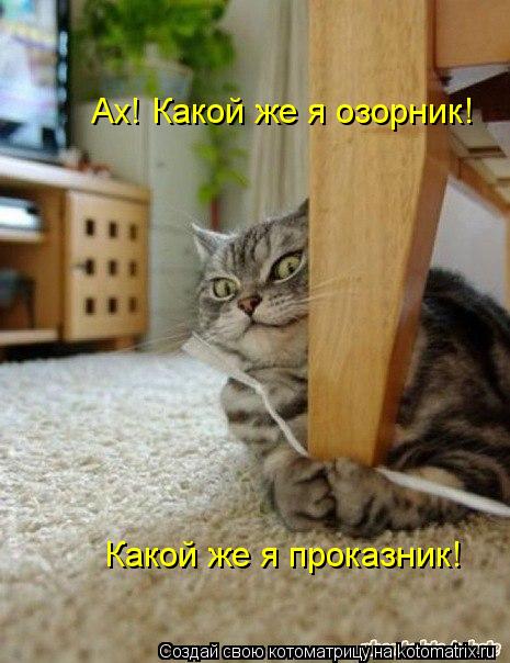 Ах! Какой же я озорник! Какой же я проказник!... Котоматрица: Ах! Какой же я озорник! Какой же я проказник!