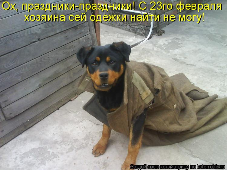 Ох, праздники-праздники! С 23го февраля хозяина сей одежки найти не могу!... Котоматрица: Ох, праздники-праздники! С 23го февраля хозяина сей одежки найти не могу!