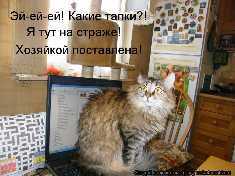 Эй-ей-ей! Какие тапки?! Я тут на страже! Хозяйкой поставлена!... Котоматрица: Эй-ей-ей! Какие тапки?! Я тут на страже! Хозяйкой поставлена!
