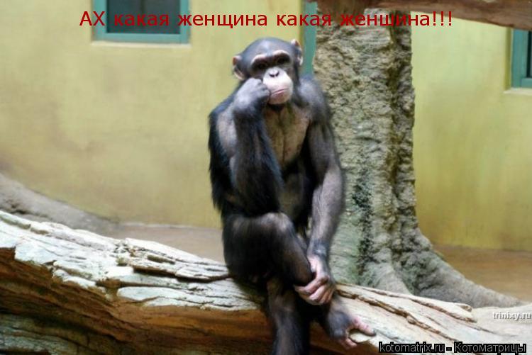 АХ какая женщина какая женшина!!!... Котоматрица: АХ какая женщина какая женшина!!!