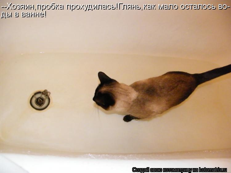 --Хозяин,пробка прохудилась!Глянь,как мало осталось во- ды в ванне!... Котоматрица: --Хозяин,пробка прохудилась!Глянь,как мало осталось во- ды в ванне!