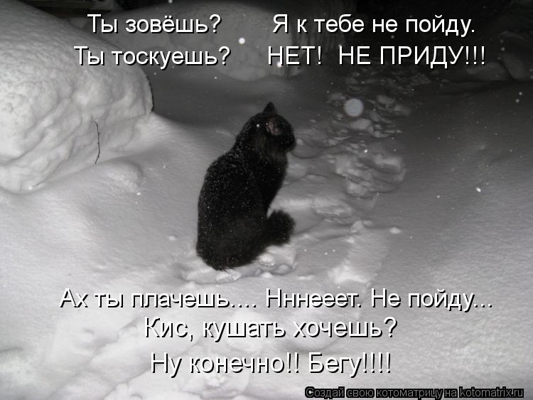 Ты зовёшь? Я к тебе не пойду. Ты тоскуешь? НЕТ! НЕ ПРИДУ!!! Ах ты плачешь.... Нннееет. Не ... Котоматрица: Ты зовёшь? Я к тебе не пойду. Ты тоскуешь? НЕТ! НЕ ПРИДУ!!! Ах ты плачешь.... Нннееет. Не пойду... Кис, кушать хочешь? Ну конечно!! Бегу!!!