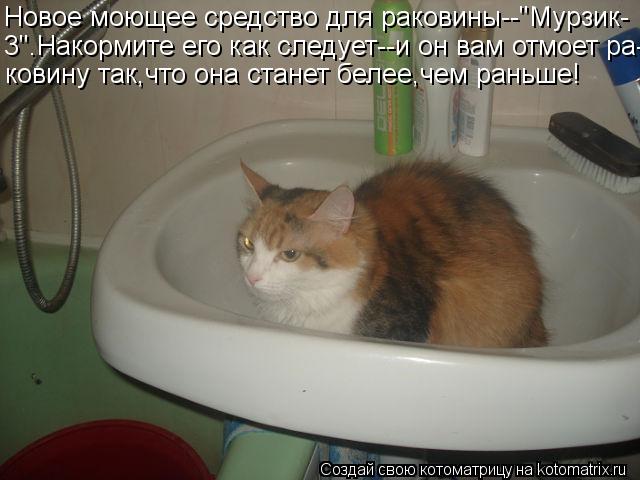 Новое моющее средство для раковины--"Мурзик- 3".Накормите его как следует--и он вам отмоет ра- ковину... Котоматрица: Новое моющее средство для раковины--"Мурзик- 3".Накормите его как следует--и он вам отмоет ра- ковину так,что она станет белее,чем раньше!