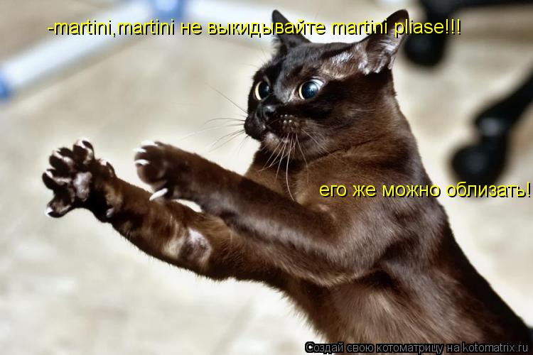 -martini,martini не выкидывайте martini pliase!!! его же можно облизать!... Котоматрица: -martini,martini не выкидывайте martini pliase!!! его же можно облизать!