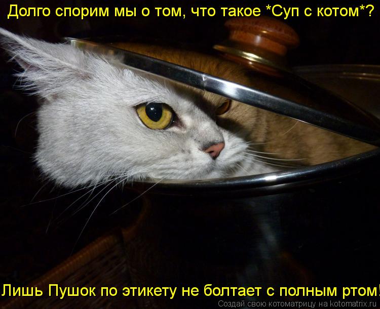 Долго спорим мы о том, что такое *Суп с котом*? Лишь Пушок по этикету не болтает с полным ртом!... Котоматрица: Долго спорим мы о том, что такое *Суп с котом*? Лишь Пушок по этикету не болтает с полным ртом!
