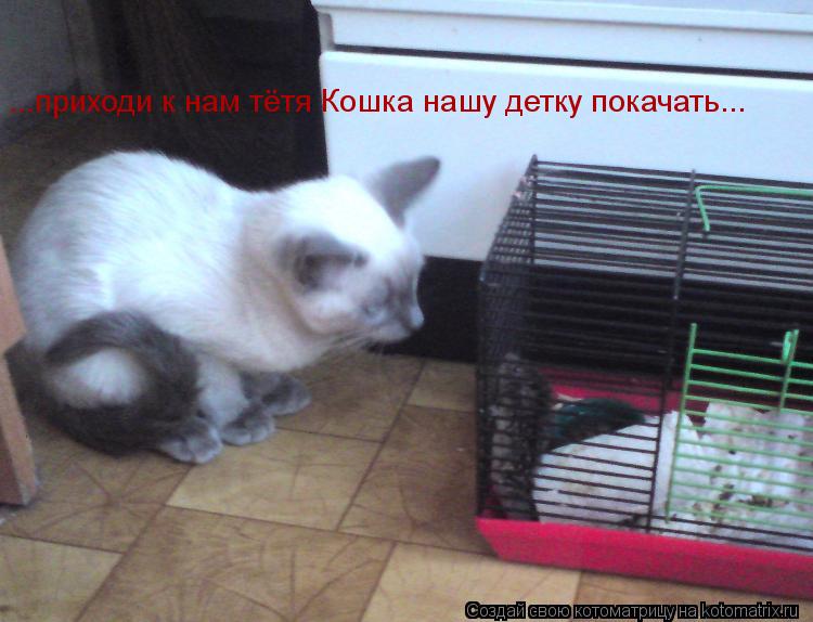 ...приходи к нам тётя Кошка нашу детку покачать...... Котоматрица: ...приходи к нам тётя Кошка нашу детку покачать...