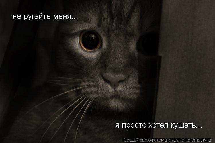 не ругайте меня... я просто хотел кушать...... Котоматрица: не ругайте меня... я просто хотел кушать...